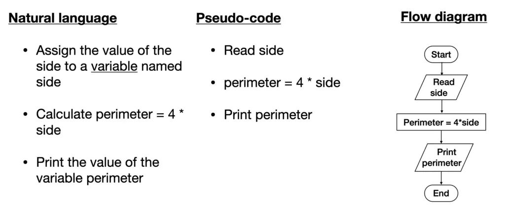 example of an algorithm using natural language, pseudo-code and flow diagram