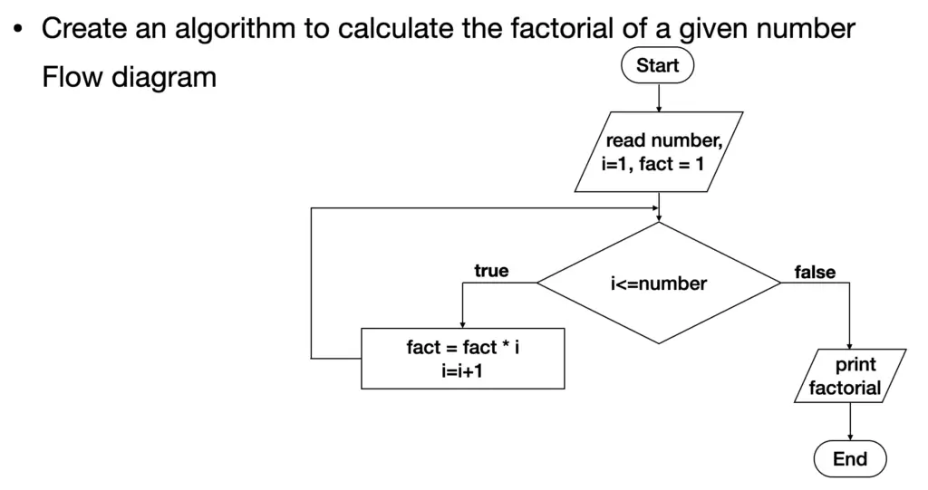 algorithm examples: using loops to calculate the factorial of a number